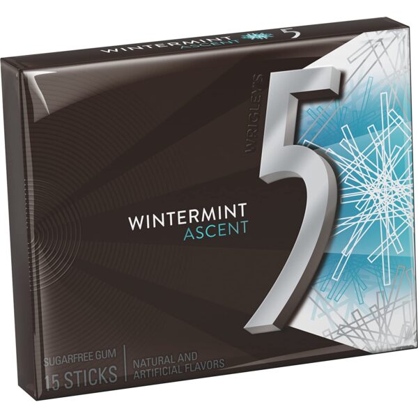 5 Gum Wintermint Chewing Gum
